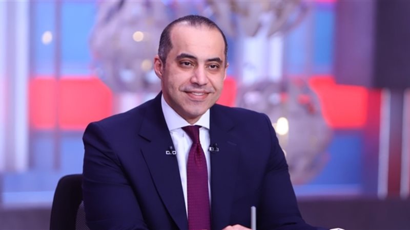 المستشار محمود فوزي،