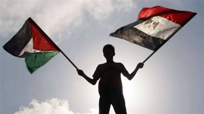 أستاذ علوم سياسية: وقف إطلاق النار في غزة إنجاز مصري خالص... فيديو 