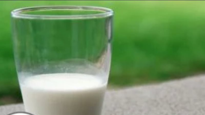 أطعمة غنية بالكالسيوم