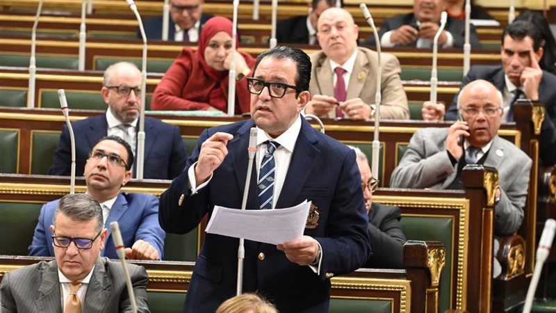 النائب علاء عابد