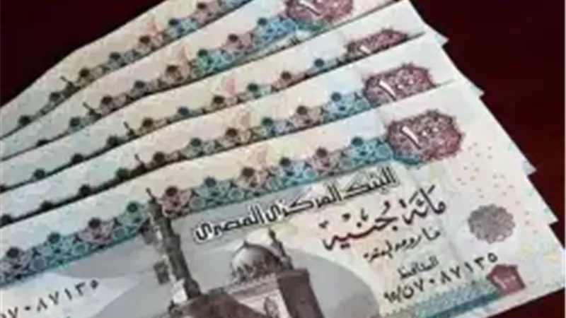 صرف الحد الأدنى للأجور