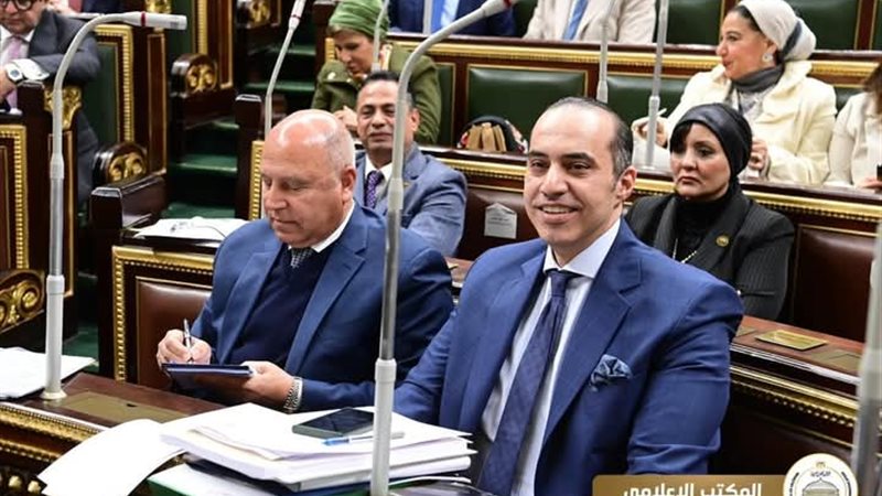 المستشار محمود فوزي