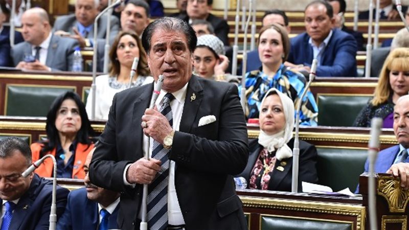 النائب أحمد فؤاد
