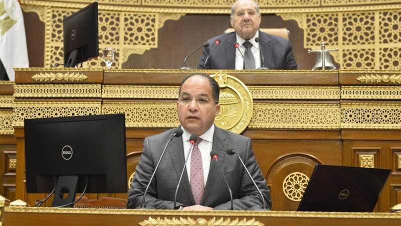 عادل اللمعي