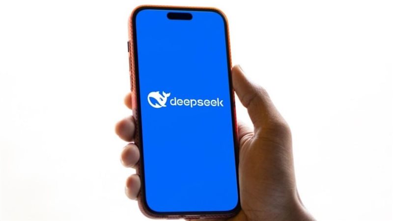 DeepSeek