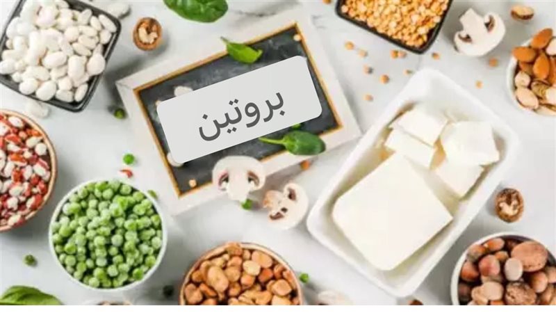 البروتين