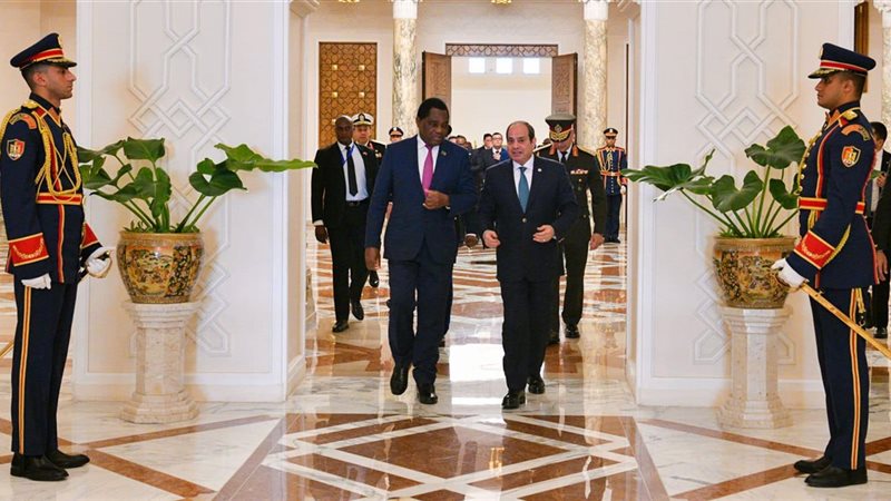 الرئيس السيسي ونظيرة