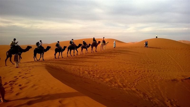 قصة أروى بنت عبد