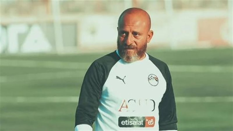 وائل رياض