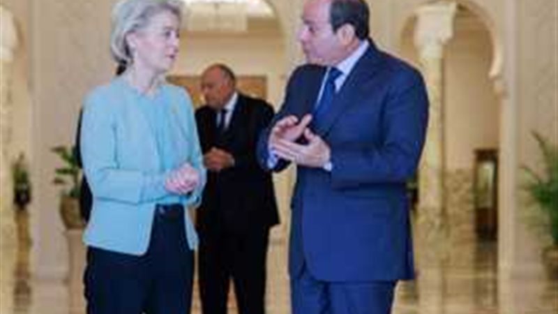 الرئيس السيسي ومفوضية
