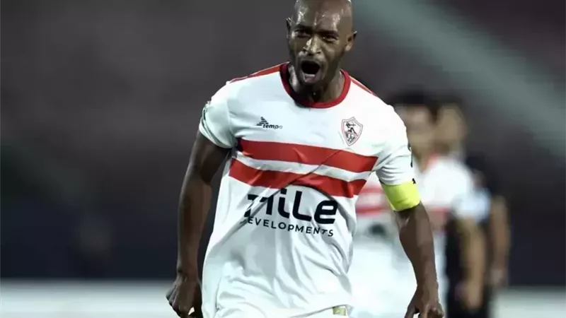 الفهد الأسمر شيكابالا