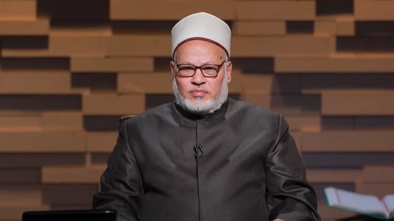 الدكتور إبراهيم الهدهد