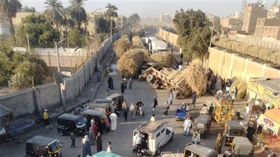 مصدر بمصنع سكر نجع حمادي ينفي سقوط عربات القصب في خط النقل الخاص به