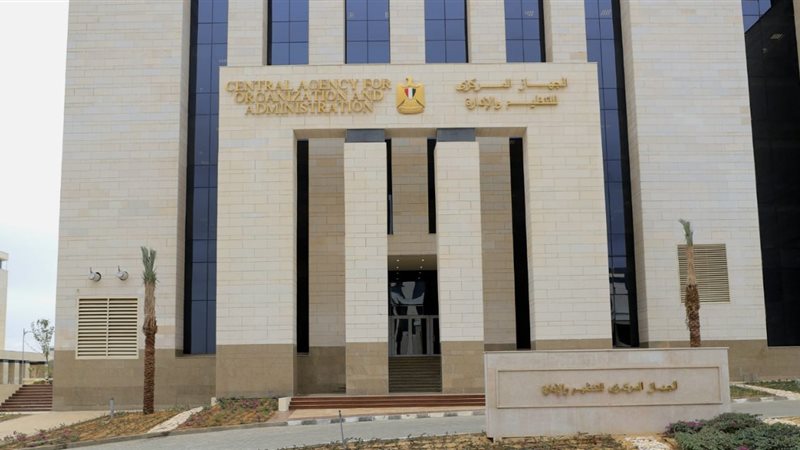 التنظيم والإدارة