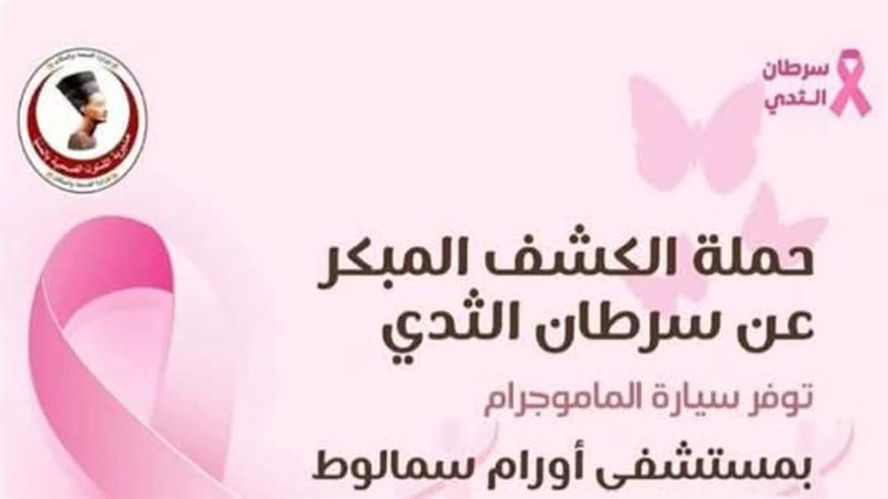 صورة من الحملة في