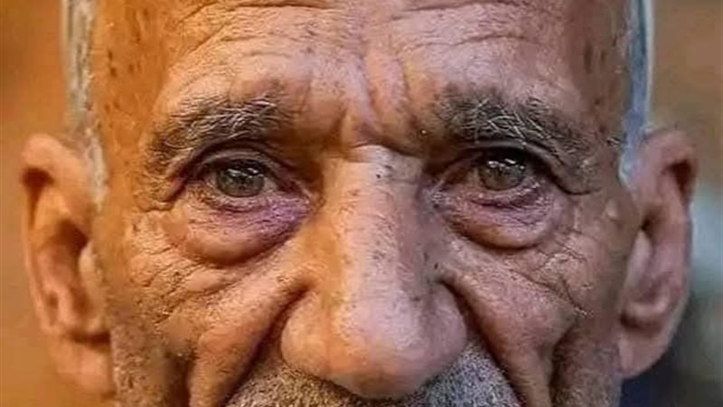 صورة المسن