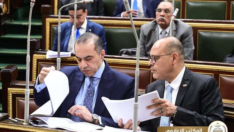 المستشار محمود فوزي