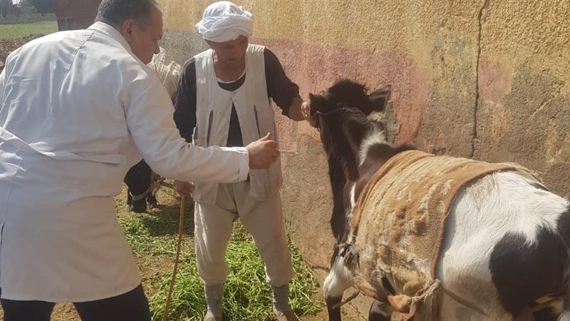 حملة تحصين الماشية