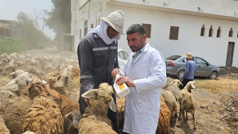 الهيئة العامة للخدمات