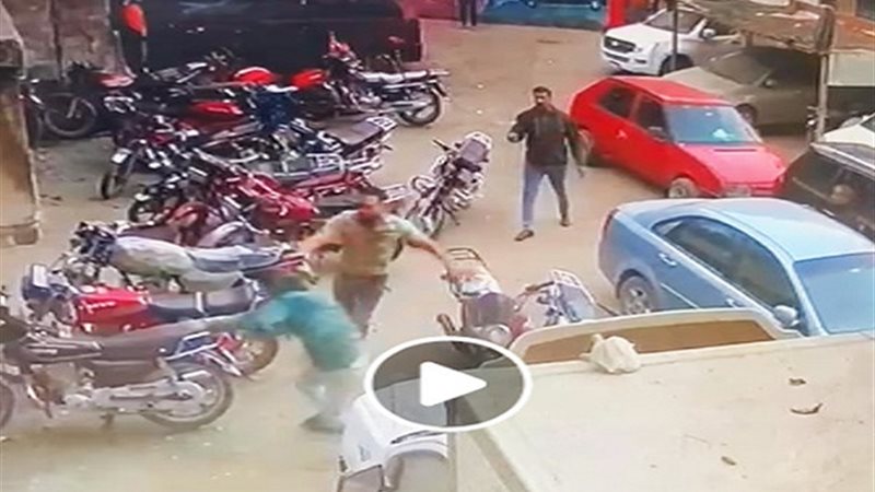 مشاجرة القليوبية