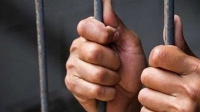 سجن حتى 5 سنوات.. القانون يعاقب على نشر الفيديوهات الكاذبة|فيديو