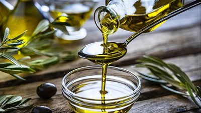 خدمات متكاملة لدعم صناعة الزيتون في مصر            