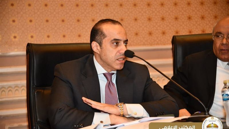 المستشار محمود فوزي