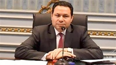 النائب هشام الحصرى: كلمة الرئيس في احتفالية حصاد القمح خطة واضحة 
