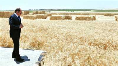 معلومات عن مدينة مستقبل مصر الصناعية ..أعرف بلدك ببساطة |صور
