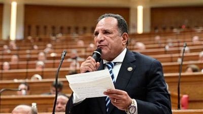 أبو هملية: التمثيل العادل للسكان الهدف الرئيسي لتعديلات قانون الانتخابات|فيديو