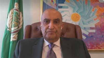 السفير ماجد عبد الفتاح: مبادرة مصرية سعودية لتعزيز الأمن العربي