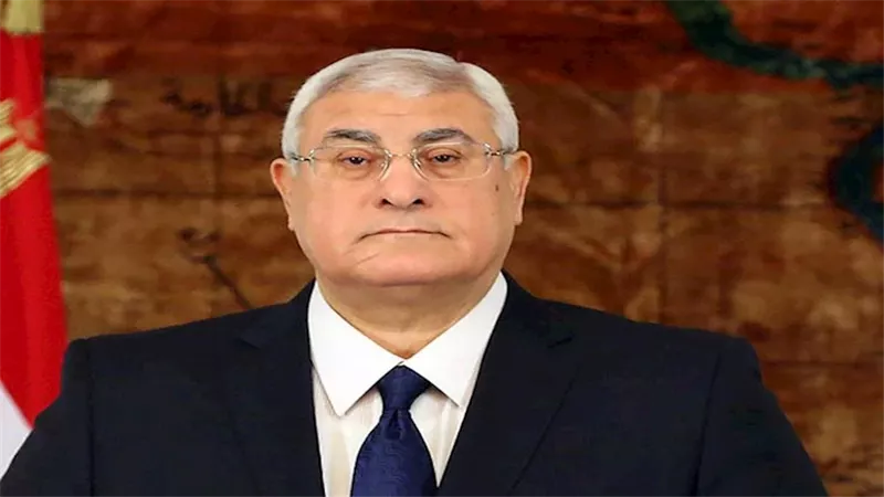 المستشار عدلي منصور