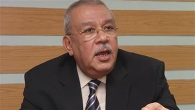 بلاغ ضد رشا قنديل بسبب تقرير عن الجيش المصري يتهمها بـ