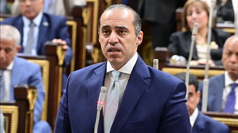 المستشار محمود فوزي