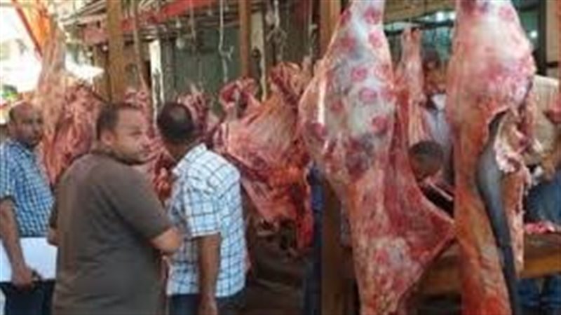 الأضاحي 