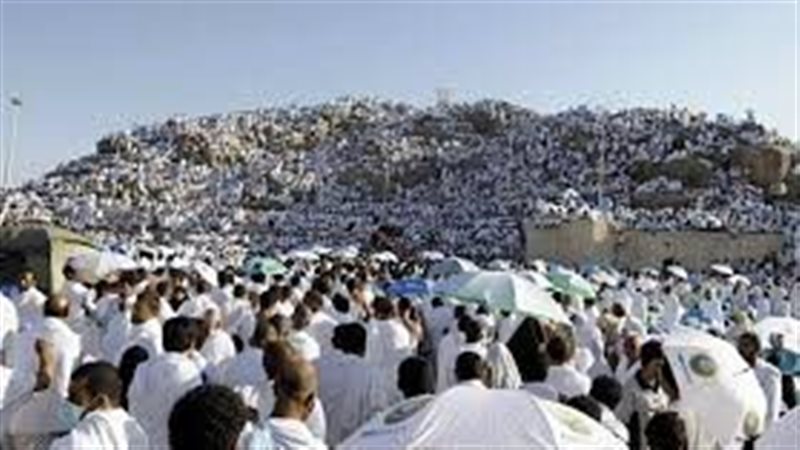 أرشيفية - عرفات 