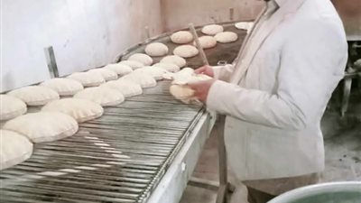 تحرير 8 محاضر ضد مخابز مخالفة في حملة تموينية ببورسعيد