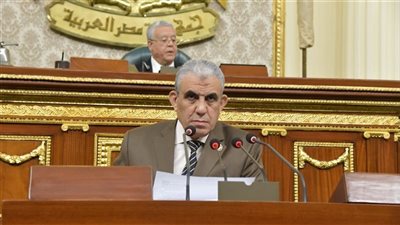 رئيس «قوى عاملة النواب» يكشف المستحقين للعلاوة الدورية وزيادة الأجور|فيديو 