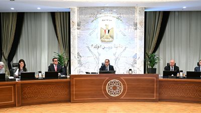 مجلس الوزراء يستعرض مشروعات خطة وزارة الكهرباء للوصول بالطاقات المتجددة لـ 30%
