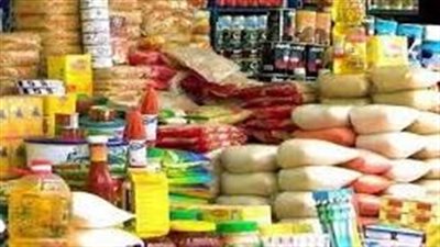 الزيتون المصري إلى العالمية.. خطة لاقتحام السوق الأمريكي بـ50 مليون دولار
