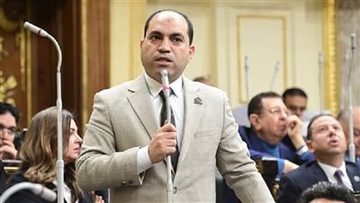 عمرو درويش يكشف لـ«نيوز رووم» مفاجأة بشأن قانون جديد للمحليات