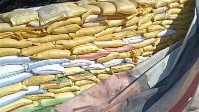 ضبط أكثر من 100 طن قمح مخالف بالمنيا.. واستبعاد 21 طنًا لعدم مطابقة المواصفات