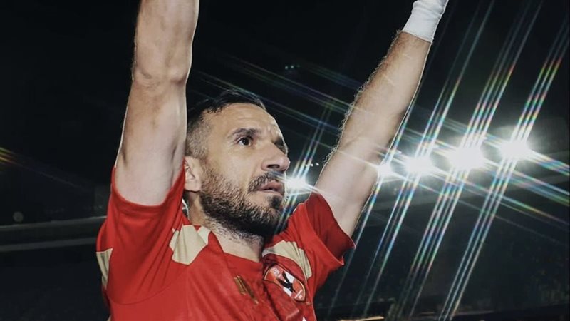 علي معلول