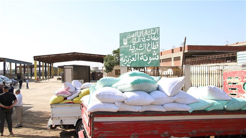 شونة توريد القمح