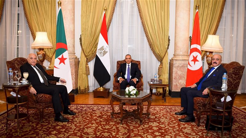 وزير الخارجية والهجرة