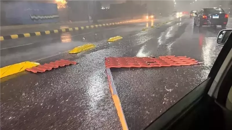 عاصفة إسكندرية