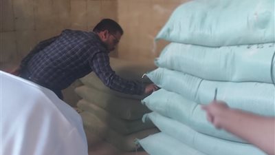 توريد 256 ألف طن قمح بالشون والصوامع بمحافظة بني سويف 