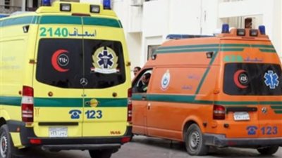 وفاة سائق وطفل في تصادم سيارتين نقل على الطريق الصحراوي بالبحيرة