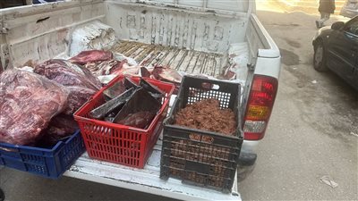 ضبط لحوم مذبوحة خارج المجازر ومواد غذائية غير صالحة للاستهلاك في الفيوم