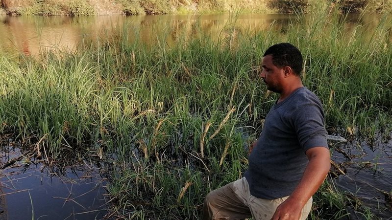 صيد السمك باليد في